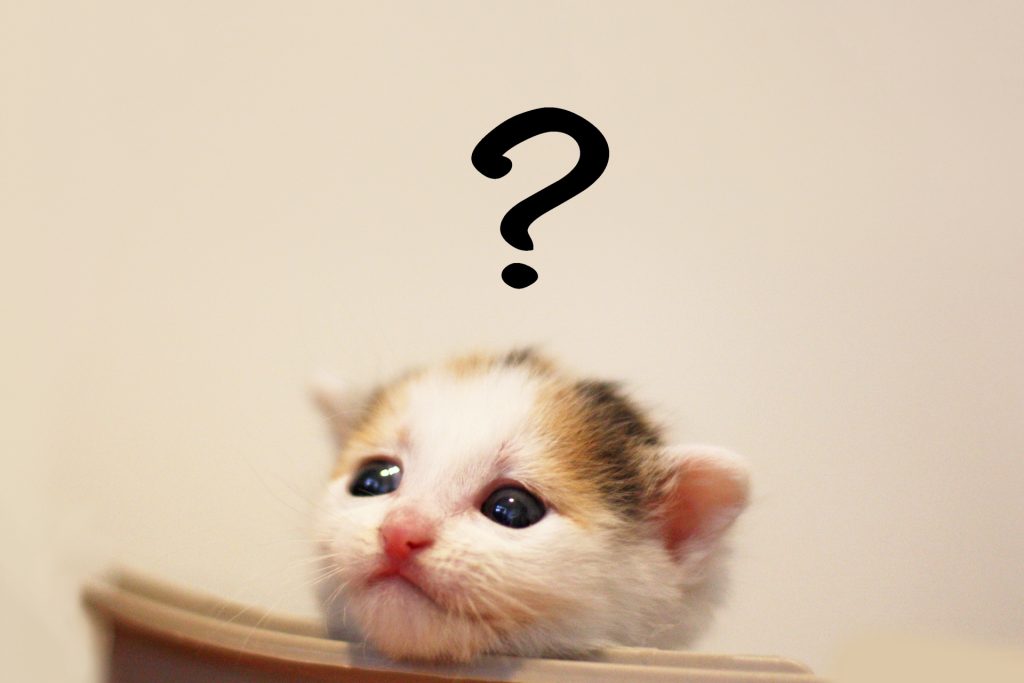 なぜゴミ屋敷が生まれるの？/オールクリア